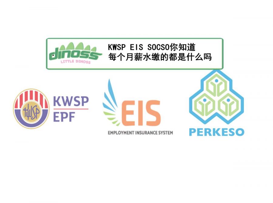KWSP EIS SOCSO 你知道你每个月薪水缴的都是什么吗