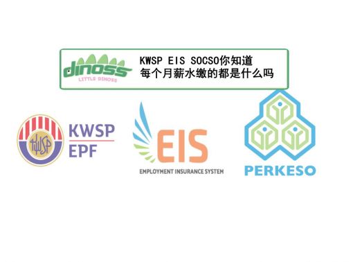 KWSP EIS SOCSO 你知道你每个月薪水缴的都是什么吗