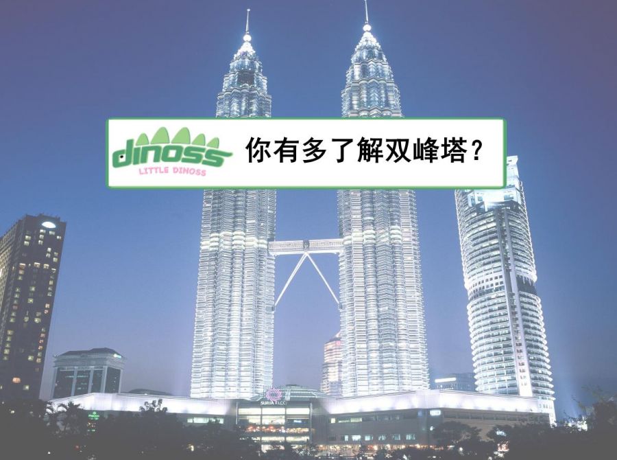 你有多了解双峰塔？