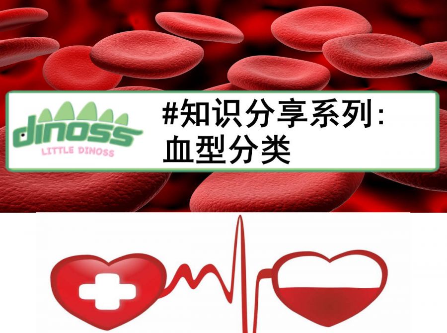 #知识分享系列: 血型分类