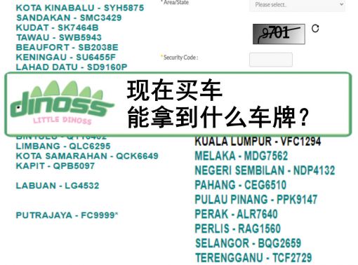 现在买车能拿到什么车牌？