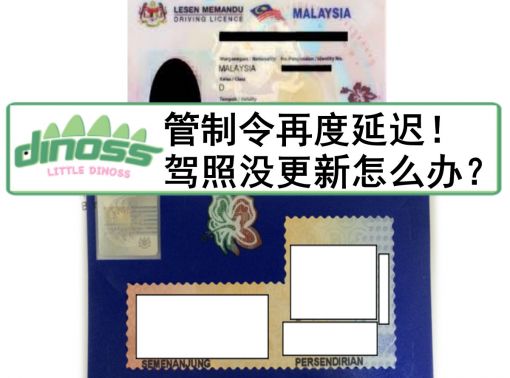 管制令再度延迟！ 驾照没更新怎么办？