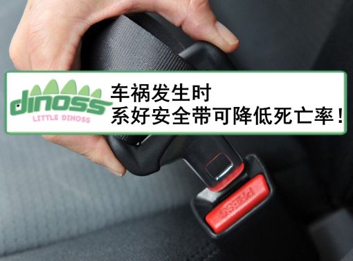 车祸发生时 系好安全带可降低死亡率！
