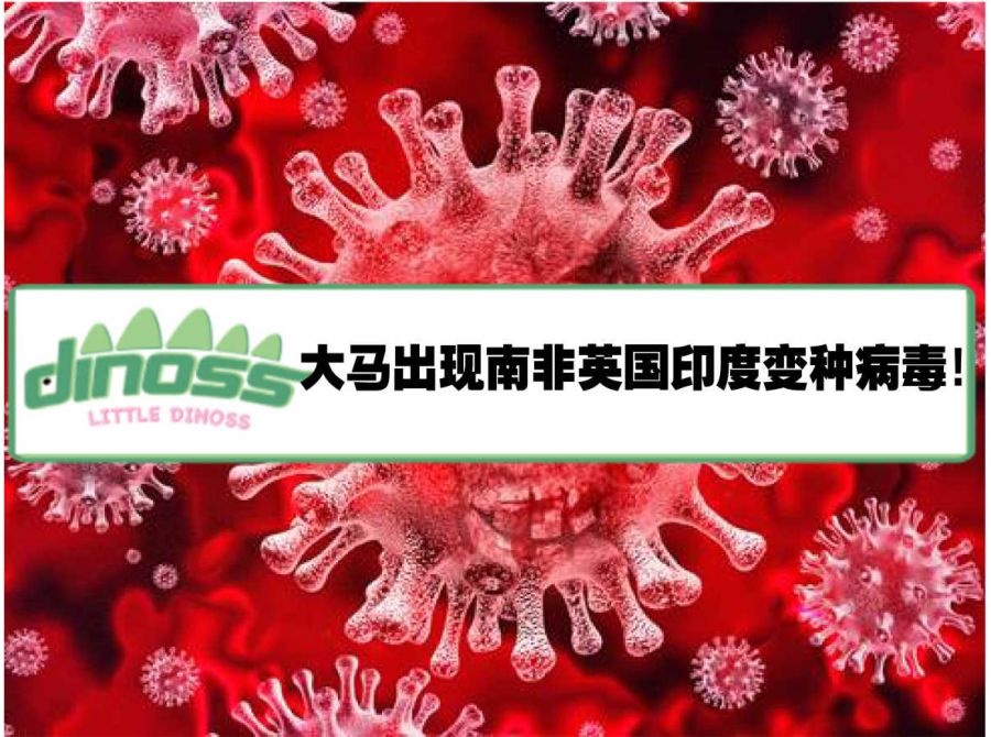 大马出现南非英国印度变种病毒！